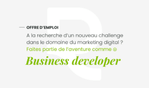 offre emploi business developer