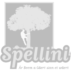 SPELLINI